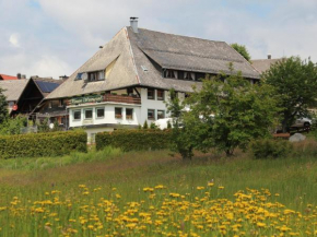 Гостиница Pension Wiesengrund  Шлухзее
